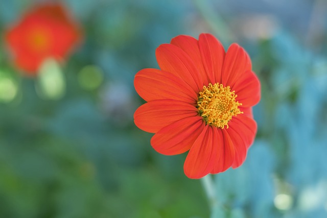 英超积分榜更新：曼城领先优势扩大,