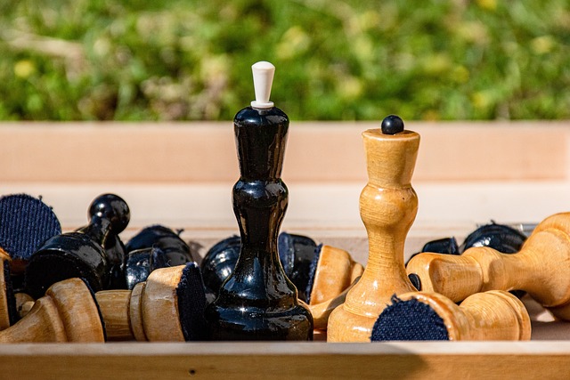 中国航空运动协会关于开展网上办理滑翔伞飞行驾驶员执照的通知.