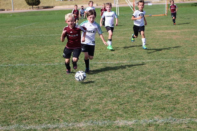 旺达和伊卡 旺达和伊卡