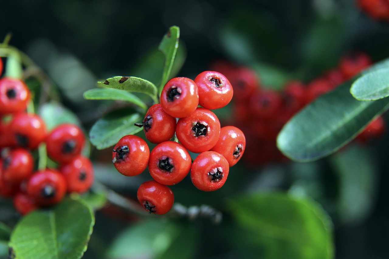 南极中国长 南极中国长